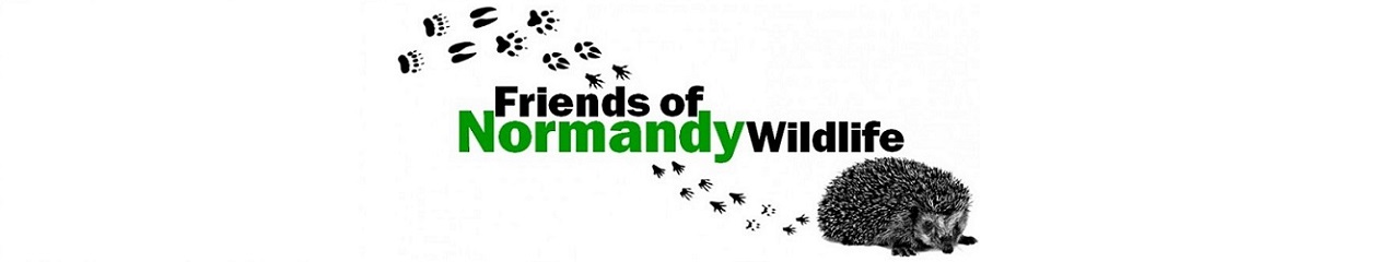Friends of Normandy Wildlife